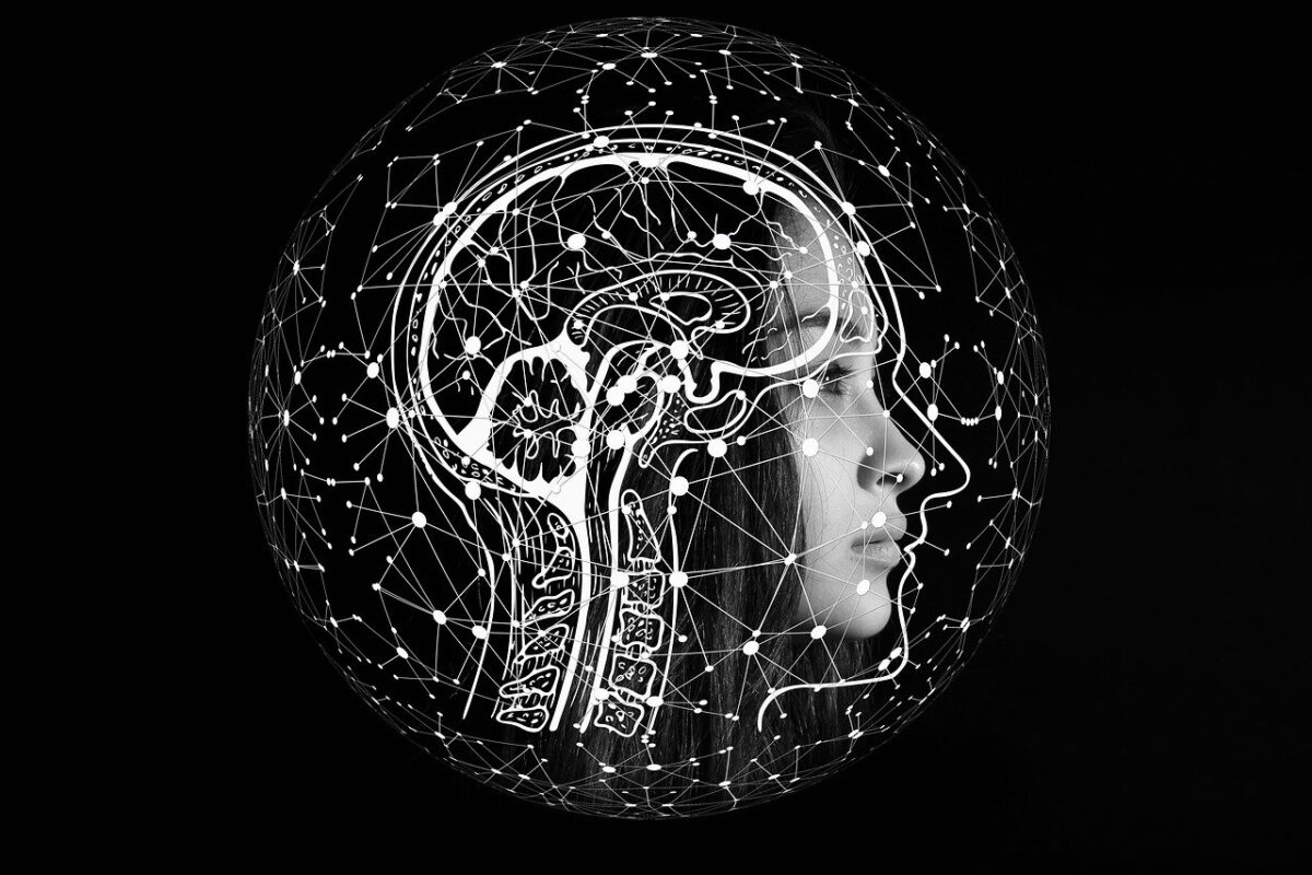 El inminente cambio de paradigma: el tráfico de internet dominado por IA para 2027 El inminente cambio de paradigma: el tráfico de internet dominado por IA para 2027